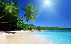 Beach, Landscape, Sea, Summer, Sunlight, Palm Trees wallpaper thumb