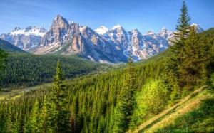 Canada, mountains, trees, forest, blue sky, Banff Park wallpaper thumb