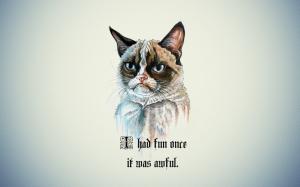 Quote, Cartoon, Grumpy Cat, Cat wallpaper thumb