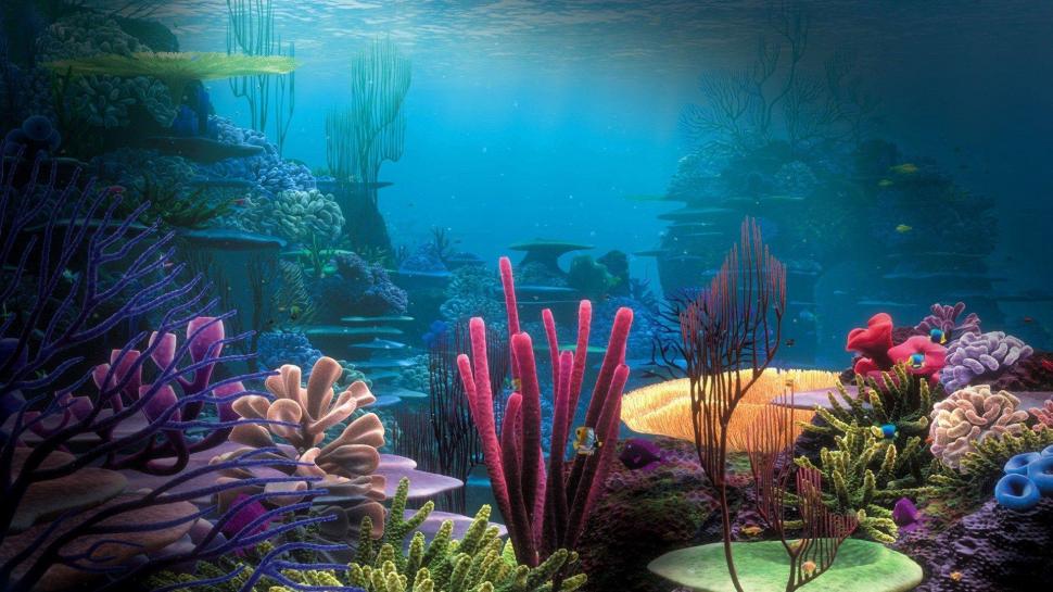 Underwater Coral Reef wallpaper,nature HD wallpaper,underwater HD wallpaper,oceans HD wallpaper,coral reefs HD wallpaper,nature & landscapes HD wallpaper,1920x1080 wallpaper