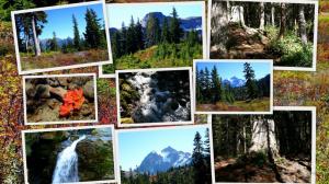 Pacific Northwest Collage wallpaper thumb