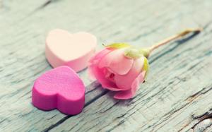 Pink rose flower, petals, love hearts wallpaper thumb