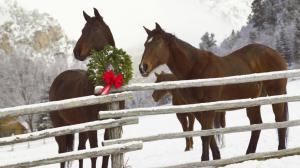 Holiday Horses wallpaper thumb
