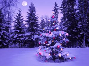 wood, new year, christmas, fur-tree, fires, garland, snow, winter, sky, moon, evening wallpaper thumb