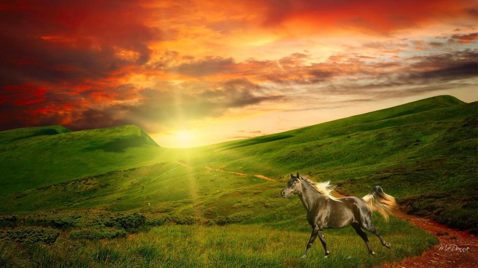 Sunset In The Hills wallpaper,ranch HD wallpaper,evening HD wallpaper,bright HD wallpaper,horse HD wallpaper,sunset HD wallpaper,country HD wallpaper,field HD wallpaper,pasture HD wallpaper,farm HD wallpaper,summer HD wallpaper,clouds HD wallpaper,beau HD wallpaper,1920x1080 wallpaper