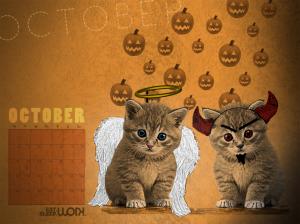 October Kitten  Desktop Free wallpaper thumb