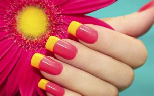 Hand, manicure, nails, red flower wallpaper thumb