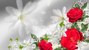 Red Roses On Display wallpaper thumb