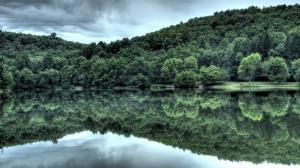 Forest Reflection in a Lake wallpaper thumb