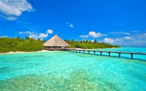 Maldives, sky, sea, ocean, island, palm trees, bungalows, bridge, pier wallpaper thumb