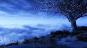 Tree Above The Clouds Fantasy wallpaper thumb