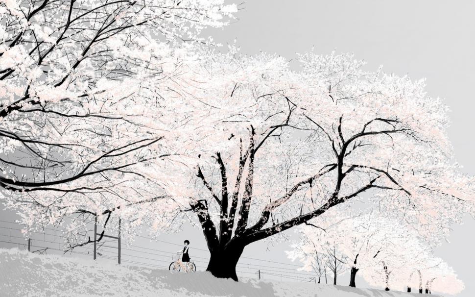 White Snowy Trees wallpaper,Winter wallpaper,1440x900 wallpaper