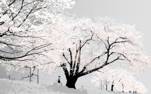 White Snowy Trees wallpaper thumb