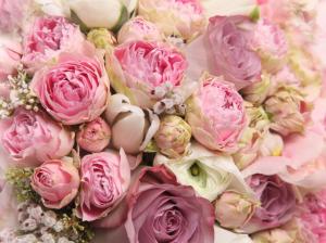 Pink flowers, beautiful rose, romance wallpaper thumb