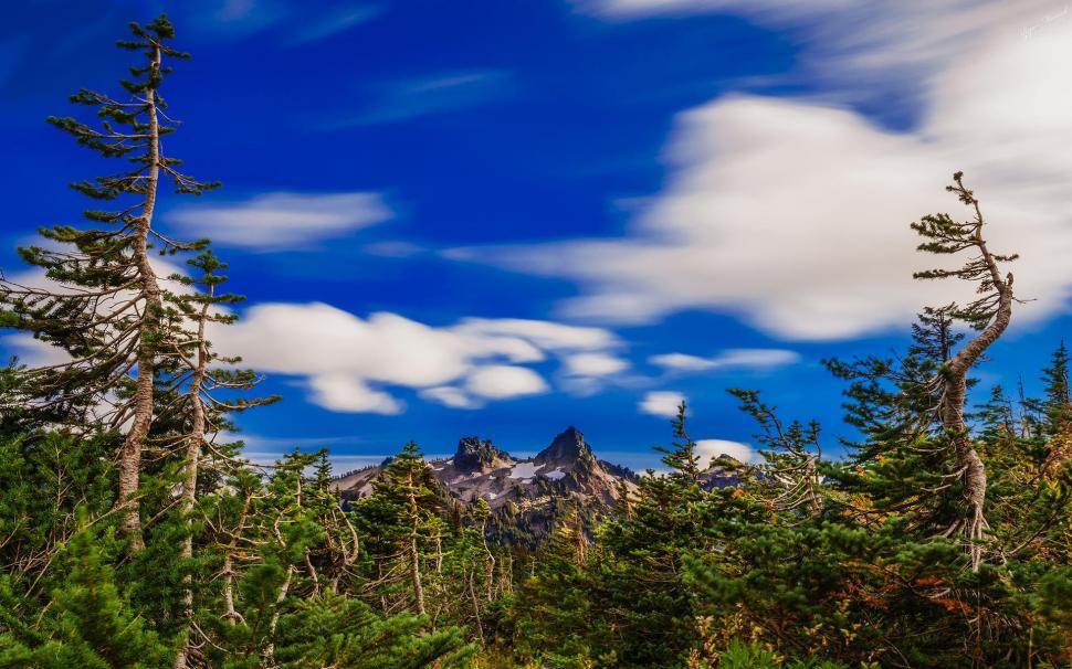 Beautiful Sky Over Gnarly Forest Hdr wallpaper,mountainsmforest HD wallpaper,clouds HD wallpaper,nature & landscapes HD wallpaper,1920x1200 wallpaper