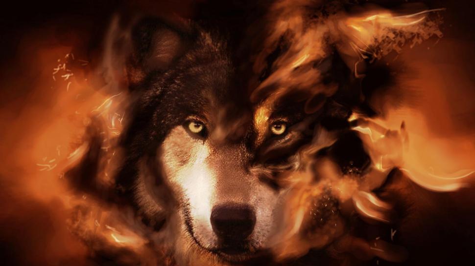 The Wolf wallpaper,space HD wallpaper,abstract HD wallpaper,wolf HD wallpaper,beautiful HD wallpaper,animals HD wallpaper,1920x1080 wallpaper