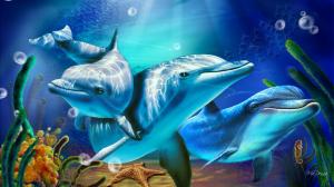 Dolphins Sunbeams wallpaper thumb