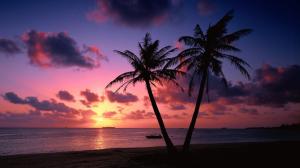 Tropical Beach Sunset wallpaper thumb