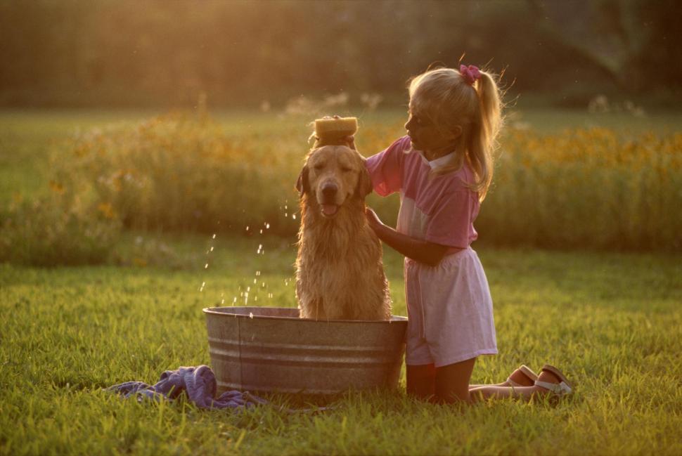 I Will Always Care For You, Dear Friend? wallpaper,sponge bath HD wallpaper,friends HD wallpaper,care HD wallpaper,friendship HD wallpaper,dogs HD wallpaper,girl HD wallpaper,together HD wallpaper,blonde HD wallpaper,animals HD wallpaper,love HD wallpaper,labrador HD wallpaper,sweet HD wallpaper,2400x1606 wallpaper