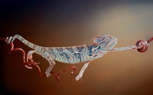 Chameleon Lizard HD wallpaper thumb