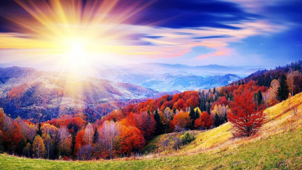 Glorious Autumn Day wallpaper,forest HD wallpaper,hills HD wallpaper,autumn HD wallpaper,nature & landscapes HD wallpaper,1920x1080 wallpaper