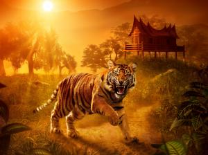 Tiger close-up, predator, eyes, teeth, house, sunset wallpaper thumb