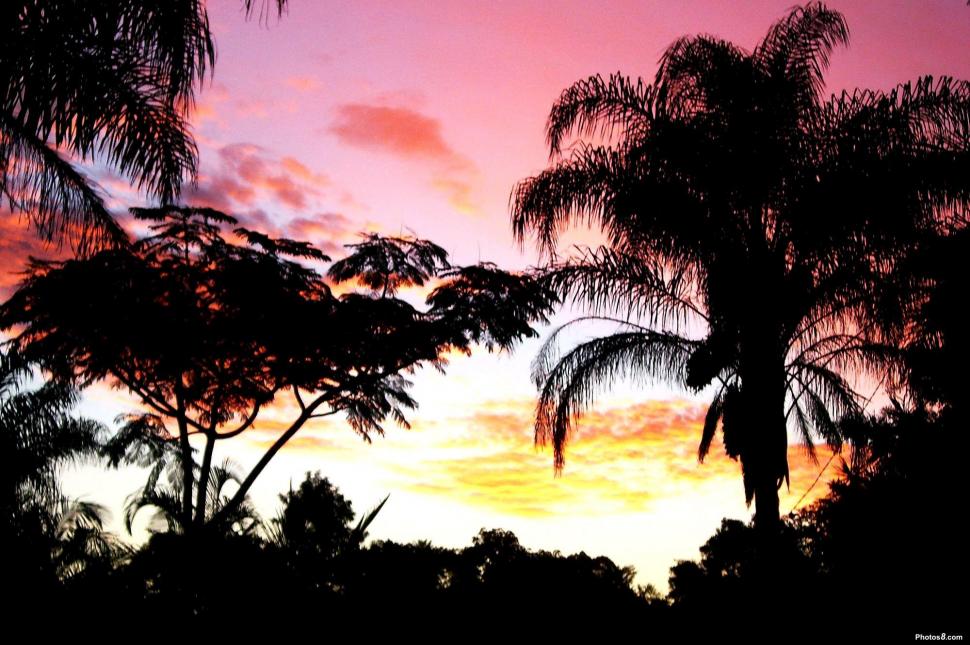 Paradise Sunset wallpaper,dusk HD wallpaper,palms HD wallpaper,tropical HD wallpaper,3d & abstract HD wallpaper,2000x1330 wallpaper