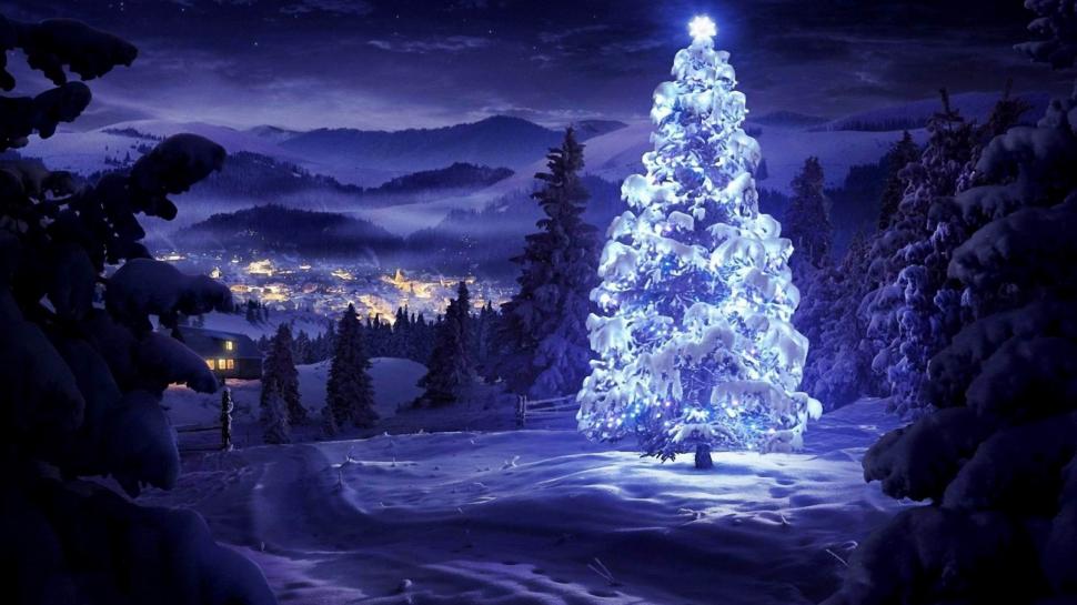 Snowy Christmas Tree wallpaper,Christmas HD wallpaper,2560x1440 wallpaper
