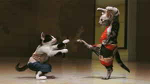 Kung Fu Kitties wallpaper thumb