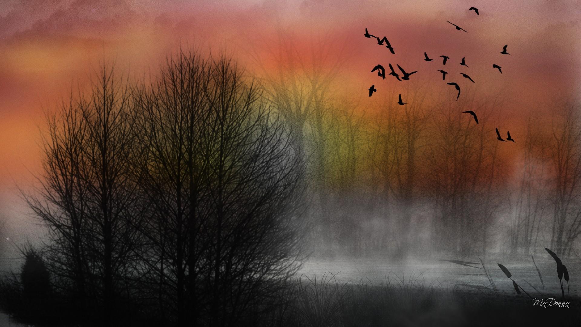 Улетали птицами ремикс. Птицы в тумане. Птицы над лесом в тумане. Лес в тумане птицы. Птицы на закате.