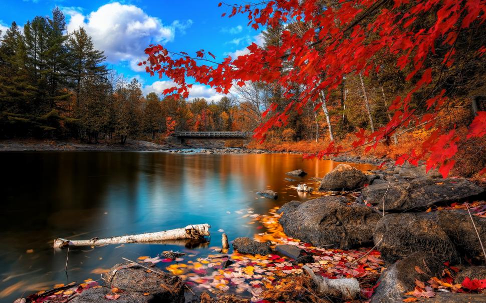 Autumn river, wooden bridge, woods and red leaves wallpaper,Autumn HD wallpaper,River HD wallpaper,Wooden HD wallpaper,Bridge HD wallpaper,Woods HD wallpaper,Red HD wallpaper,Leaves HD wallpaper,2560x1600 wallpaper