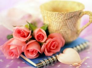 Rose, Flower, Pink, Cups wallpaper thumb