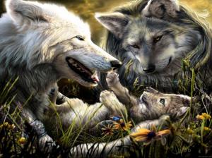 Family Of Wolves wallpaper thumb