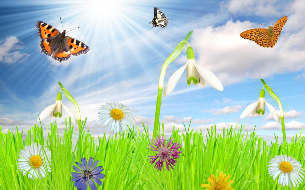Happy Spring wallpaper,butterflies HD wallpaper,flowers HD wallpaper,2560x1600 wallpaper