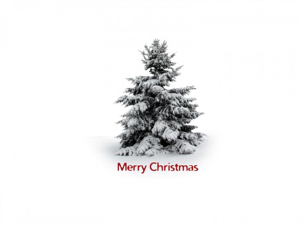 Christmas Tree Snow HD wallpaper,christmastree wallpaper,snow wallpaper,1440x1080 wallpaper