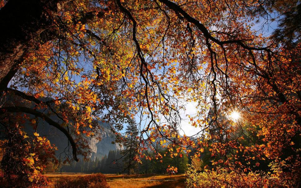Autumn Sunset Landscape wallpaper,autumn HD wallpaper,nature HD wallpaper,sunset HD wallpaper,landscape HD wallpaper,2560x1600 wallpaper