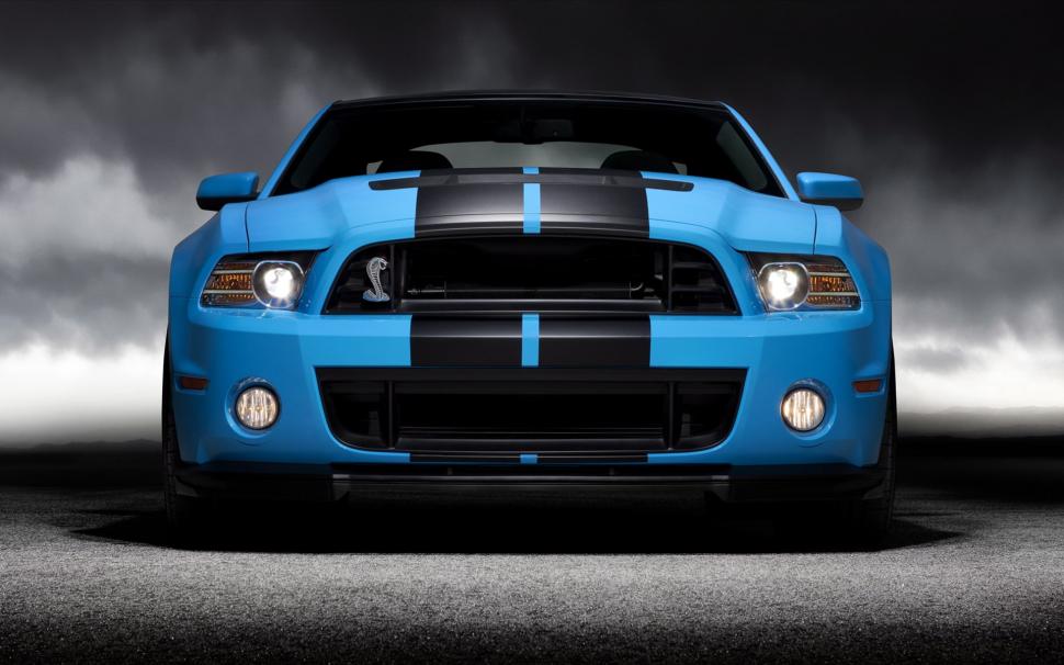 Ford Shelby GT500 2013Related Car Wallpapers wallpaper,ford HD wallpaper,shelby HD wallpaper,gt500 HD wallpaper,2013 HD wallpaper,1920x1200 wallpaper