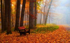 Autumn, leaves, trees, park, grass, road, bench wallpaper thumb