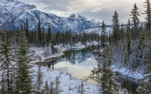 Canadian Rockies, Jasper National Park, Alberta, Canada, winter, river, trees wallpaper thumb