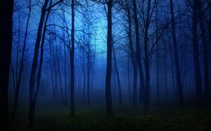 Morning forest, fog, trees, blue wallpaper thumb