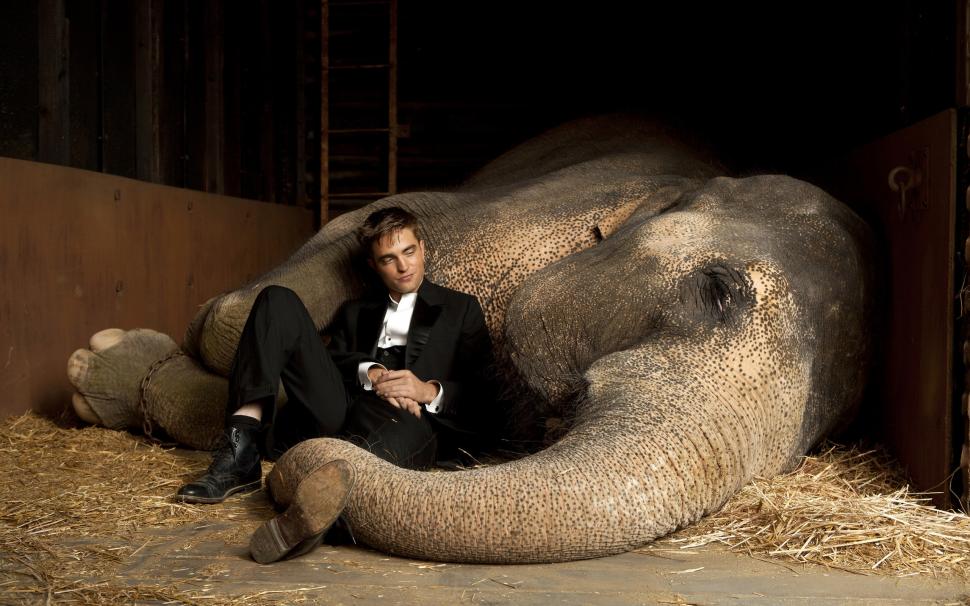 Robert Pattinson Close to Elephant wallpaper,elephants HD wallpaper,twilight HD wallpaper,friendship HD wallpaper,mood HD wallpaper,funny HD wallpaper,2560x1600 wallpaper