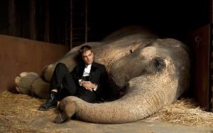 Robert Pattinson Close to Elephant wallpaper thumb