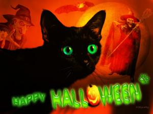 ? ??? Happy Halloween Cat ??? ? wallpaper thumb