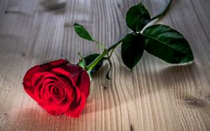 Red rose flower, wooden table wallpaper thumb