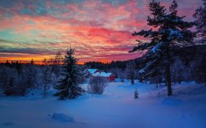 Winter evening sunset, sky, clouds, snow, forest, house wallpaper thumb