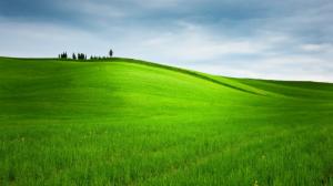 Hill, Grass, Trees, Landscape, Nature, Field, Green wallpaper thumb