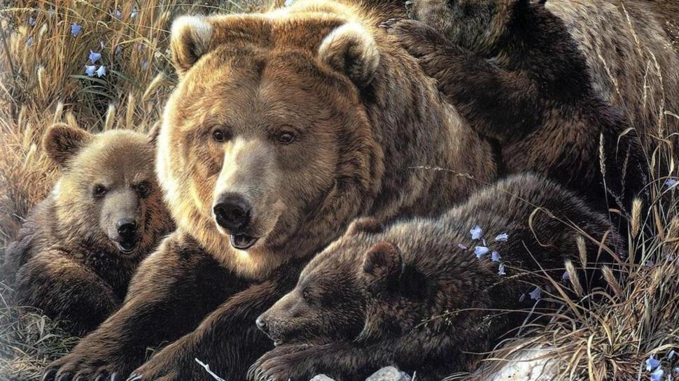 Mum Her Cubs wallpaper,white bear HD wallpaper,animals HD wallpaper,cubs HD wallpaper,grizzly bear HD wallpaper,black bear HD wallpaper,nature HD wallpaper,wildlife HD wallpaper,1920x1080 wallpaper
