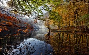 Autumn landscape, river, leaves, trees, fog, water reflection wallpaper thumb