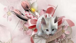 Kitten Bouquet wallpaper thumb