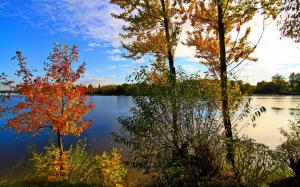 Russia, Yaroslavl, river, trees, sky, clouds, autumn wallpaper thumb